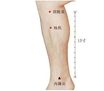 ͼƬ