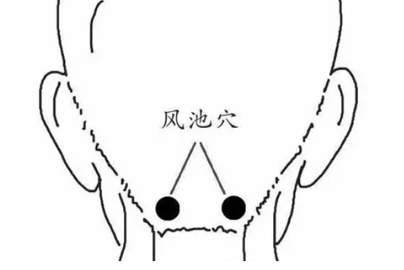 ͼƬ