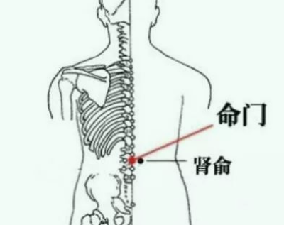 ͼƬ